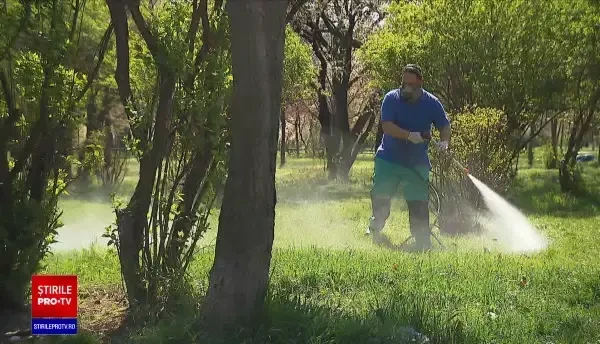 Parcurile din București, uitate. Nu sunt bani nici anul acesta pentru refacerea lor: ”Niciodată n-a fost așa o mizerie”