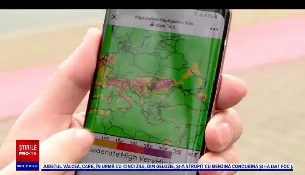 A început sezonul alergiilor. În România vor ajunge cantităţi mari de polen