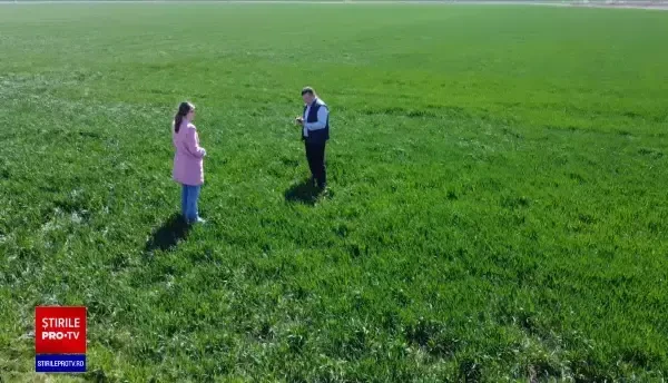 Tot mai mulți români aleg să fie muncitori sezonieri în străinătate. Câștigă chiar și de trei ori mai mult decât în țară