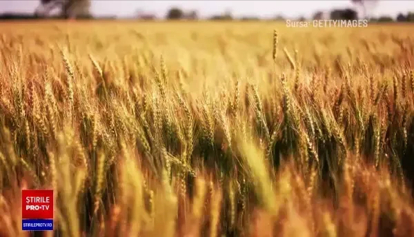 Autoritățile se pregătesc să facă stocuri de alimente. Ce s-ar putea întâmpla cu Casa de Comerț Unirea