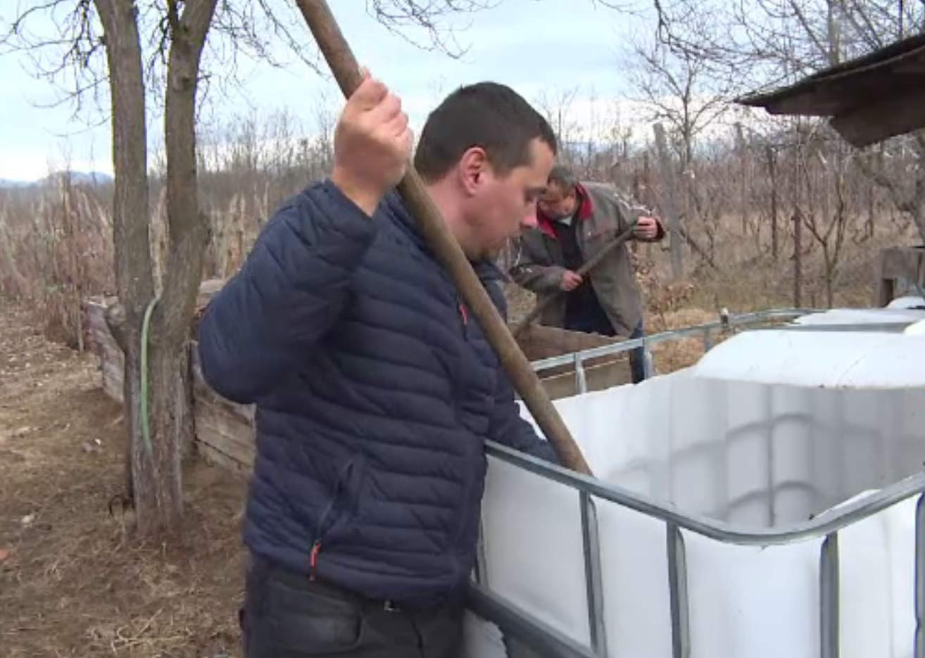 Agricultorii au redescoperit îngrășămintele naturale, pe fondul scumpirii celor chimice. Bălegarul a devenit marfă rară