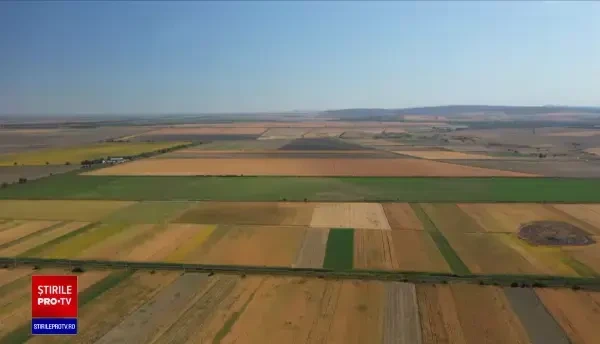 Cu peste 150 de mii de hectare pe care cultivă soia, România este printre principalii producători din UE