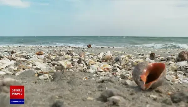 Noi reguli de acces la Vadu și la Corbu. Ce nu mai au voie să facă turiștii