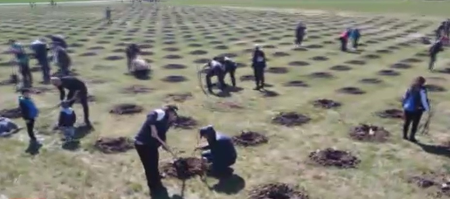 1.500 de puieţi de stejar, plantați în Pădurea Paraşutiştilor. Motocicliștii s-au alăturat inițiativei