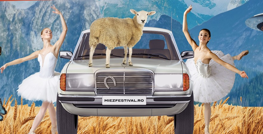 Se lansează un nou festival în România, ”Miez”: Șuie Paparude, Paraziții, Vama, White Mahala