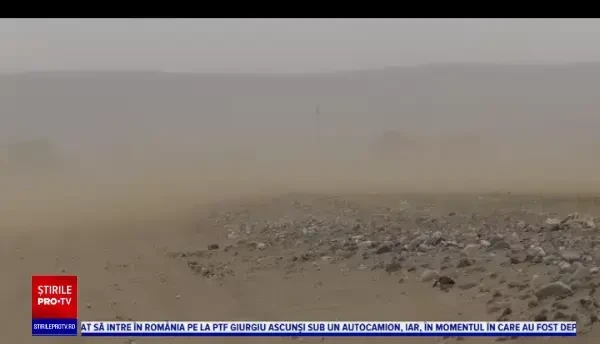 Pârloage transformate în păduri. Cât plătește UE pe un hectar care va fi împădurit