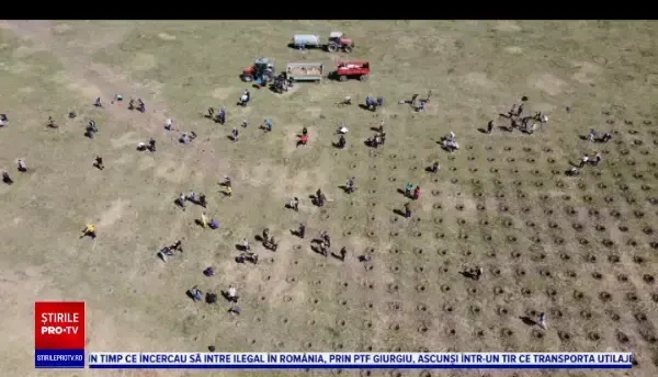 1.500 de puieţi de stejar, plantați în Pădurea Paraşutiştilor. Motocicliștii s-au alăturat inițiativei