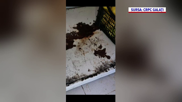 Mucegai, rugină și mizerie în bucătăria unuia dintre cele mai mari hoteluri din Galați. Amenda dată de ANPC