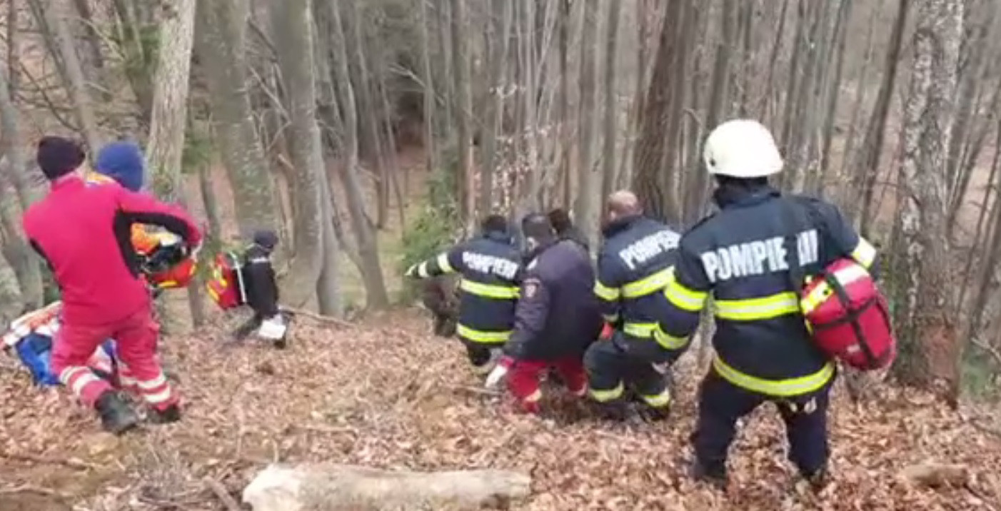 Tragedie într-o pădure din Prahova. Un muncitor a fost strivit de un copac proaspăt tăiat