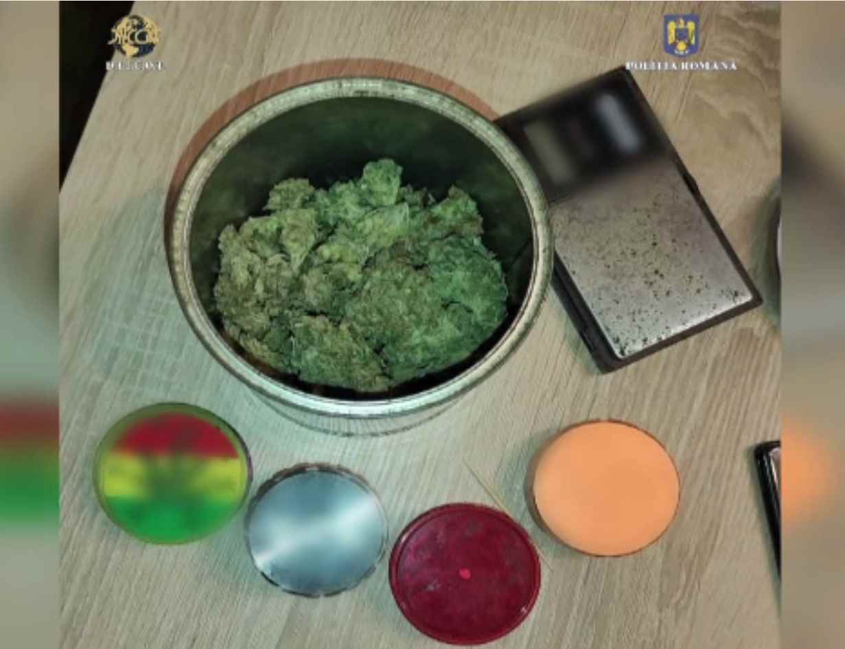 Grupare de trafic de droguri în vestul țării, anihilată de procurorii DIICOT. Ce sarcini aveau membrii săi