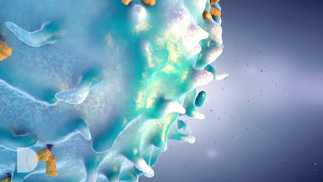 Doctor de bine | Ce sunt limfocitele T și care este misiunea lor