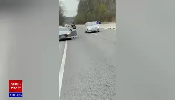 Un urs a fost lovit de două autoturisme, pe DN1, în dreptul localității Nistorești