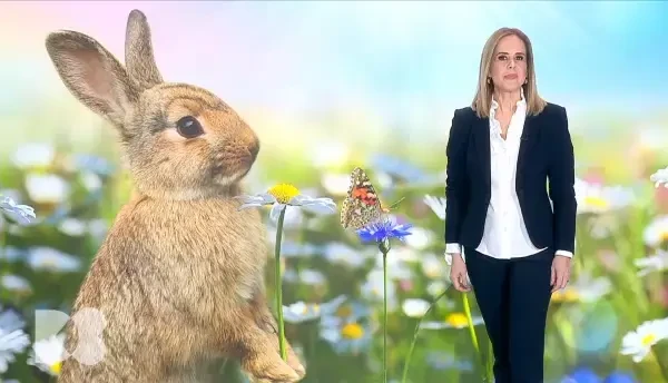 Ce se întâmplă cu ficatul nostru atunci când nu mâncăm sau când mâncăm prea mult