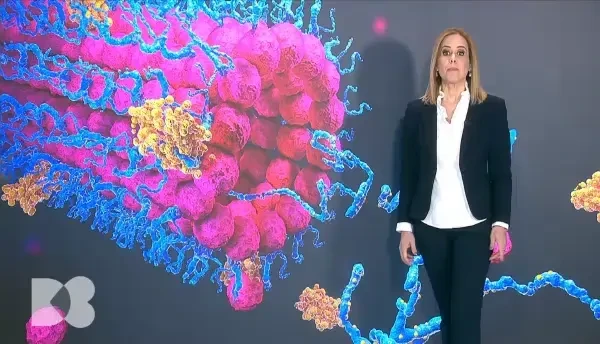 Ce înseamnă, de fapt, grăsimea adunată pe burtică. Poate fi cauza urinatului des noaptea