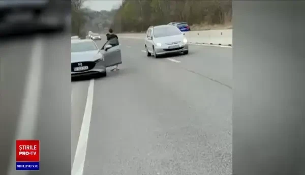 Cum ar putea fi împiedicate accidentele cu urși de pe șosele. Soluția care funcționează perfect în Timișul de Jos