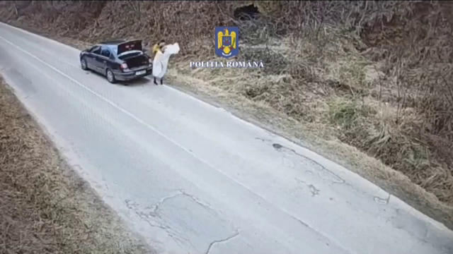 Amenda primită de un tânăr după ce a abandonat un cățel la marginea unui drum