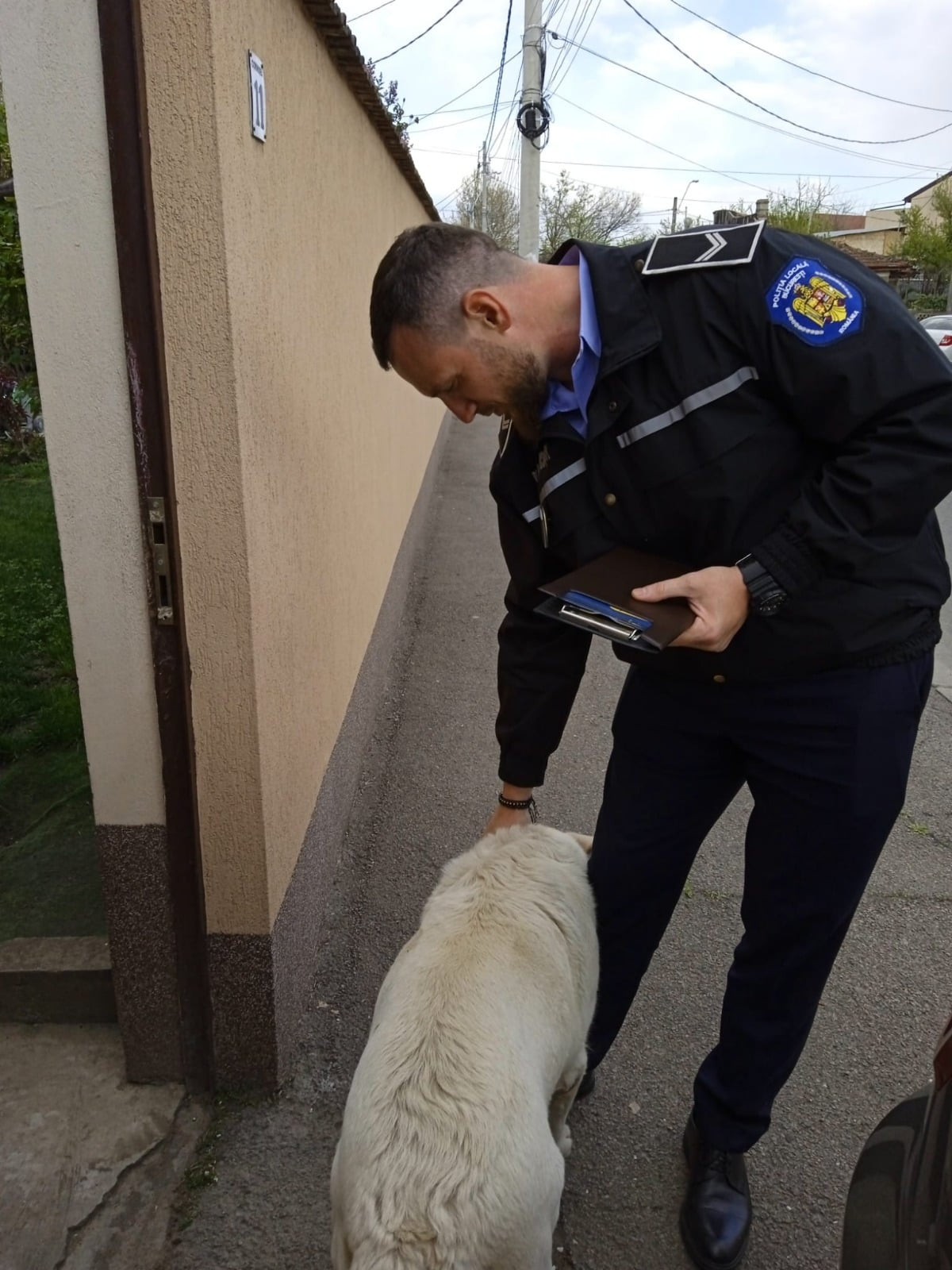 Amendă de 5.000 de lei pentru o femeie care nu şi-a sterilizat câinele, în București