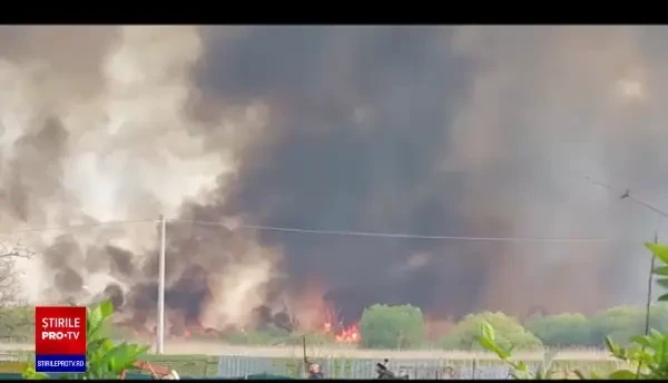 Incendiu de proporţii în Delta Dunării. Intervenția pompierilor este extrem de dificilă