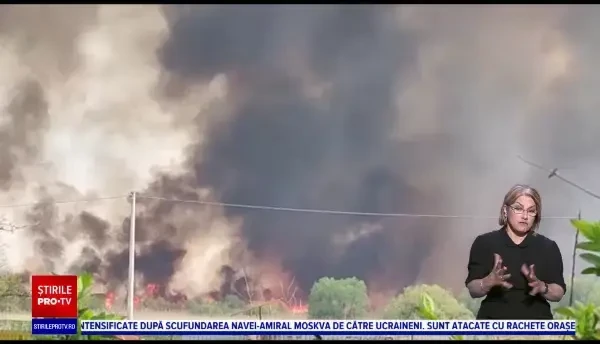 Incendiu de proporții în Delta Dunării. Intervenția pompierilor a fost extrem de dificilă