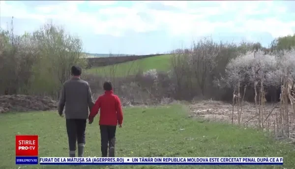 Doi frați au fost atacați de un urs în timp ce erau cu oile la păscut. Mezinul a ajuns la spital