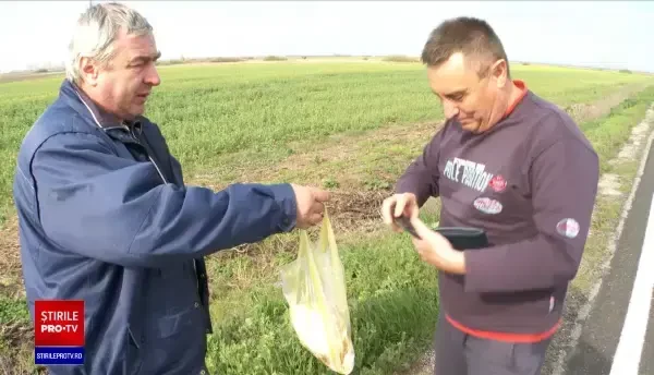 Cozi interminabile la granița de vest a țării. Timpii de așteptare ajung și la 10 ore