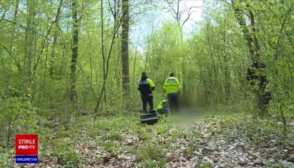 Tragedie în Dâmbovița. Un muncitor de 68 de ani a murit, iar un altul a fost rănit, după ce un copac a căzut peste ei