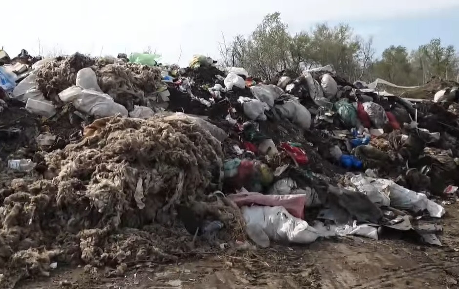 Fostul șef al Gărzii de Mediu: 5.000 mp acoperiţi cu organe de animale, în plin soare. Miroase ca pe front, poate şi mai rău