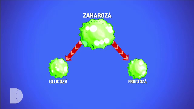 Doctor de bine | Nu putem să forțăm creierul să nu ne ceară zahăr, dar putem să reducem efectele catastrofale ale lui