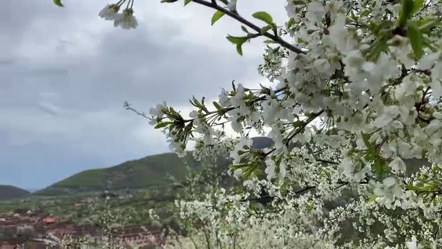 Turiștii români și străini s-au bucurat de Sărbătorile Pascale în satele din Mărginimea Sibiului