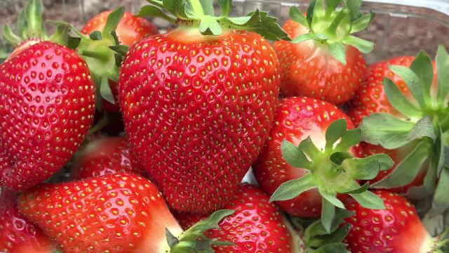 Căpșunile românești costă cât un kilogram de carne de vită: "Dar manânci ceva gustos"