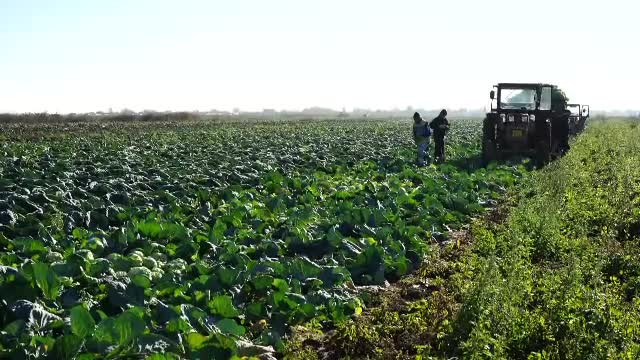 Noua lege a cooperativelor începe să dea rezultate. Asociațiile de fermieri își măresc numărul de membri