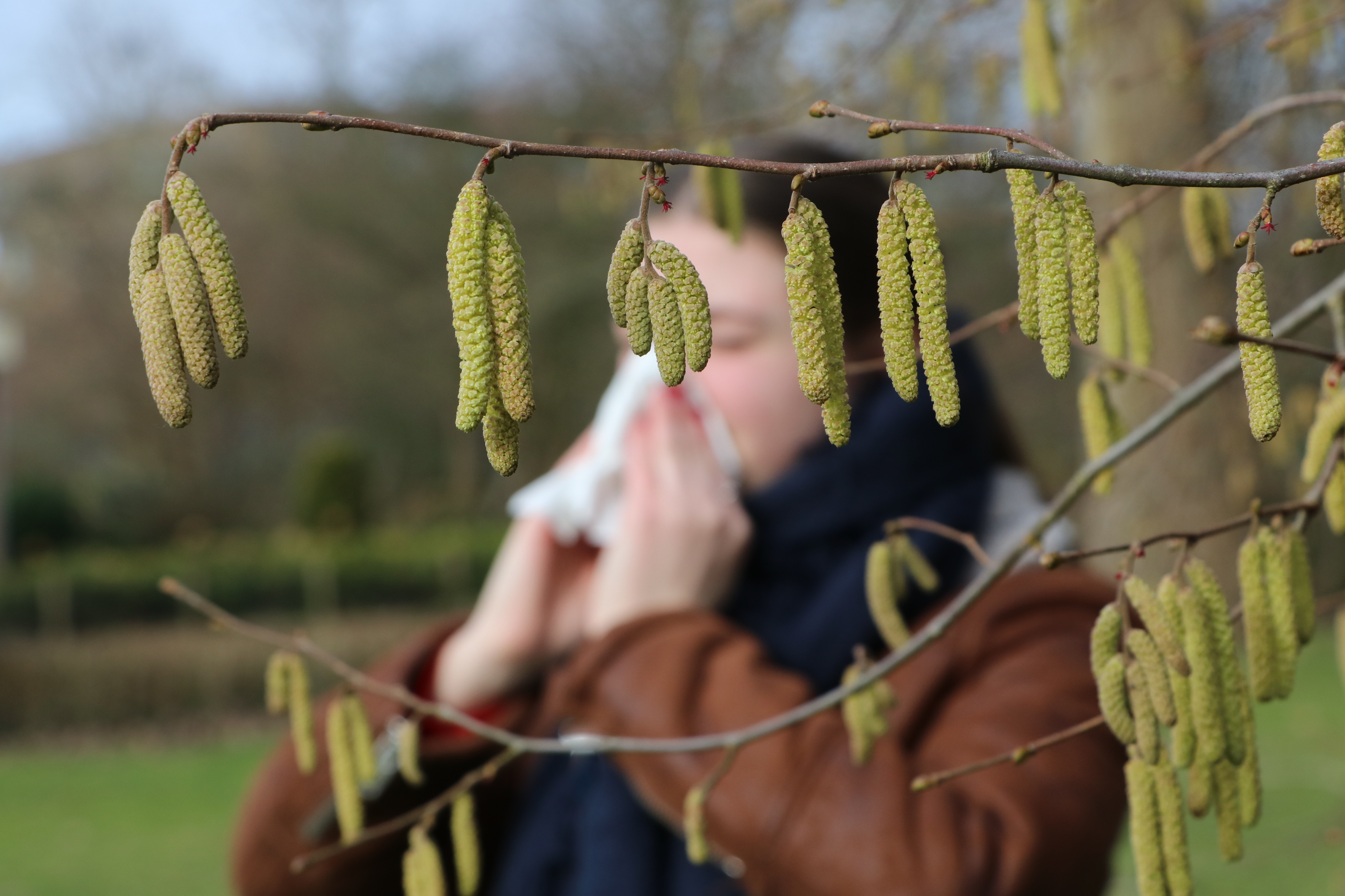 Alergia la polen e simplu de testat și de demonstrat. Iată ce spun medicii