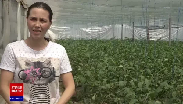 Noua lege a cooperativelor începe să dea rezultate. Asociațiile de fermieri își măresc numărul de membri