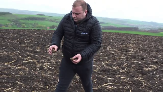 O cultură de cartofi destinată persoanelor nevoiașe, distrusă de localnicul unei comune din Mureș. Care ar fi motivul