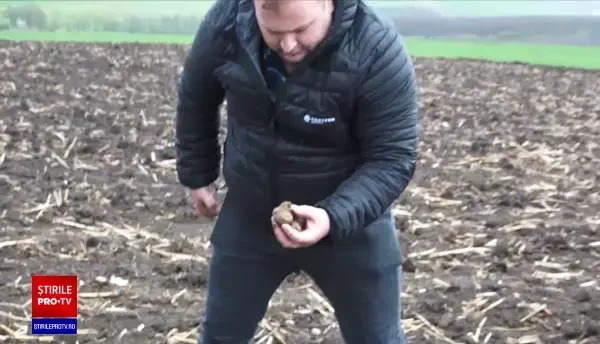O cultură de cartofi destinată persoanelor nevoiașe, distrusă de localnicul unei comune din Mureș. Care ar fi motivul