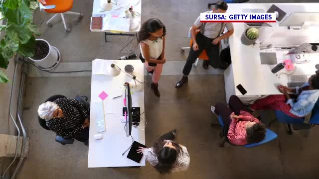 În ce condiții ar fi de acord angajații să renunțe la actualul loc de muncă pentru un altul