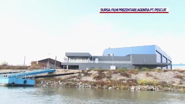 Comisia Europeană va cere înapoi banii pentru bursa de pește din Tulcea, inaugurată și apoi închisă