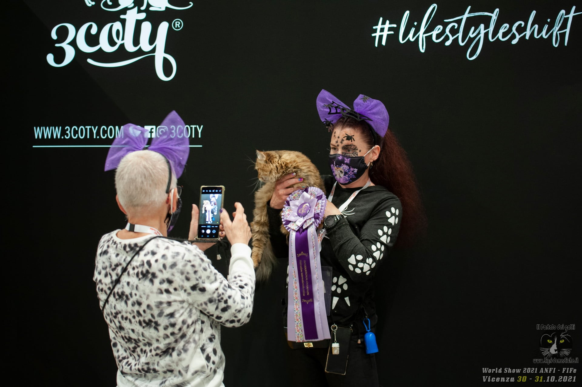 Peste 150 de pisici de diferite rase vor putea fi admirate la Salonul Felin Internaţional Bucureşti - SofistiCAT