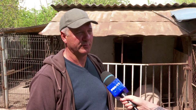 Tot mai mulți români care au gospodării au devenit crescători de animale, din cauza creșterii prețurilor la alimente