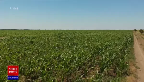 Noi ajutoare pentru firmele din sectorul agroalimentar. Câți bani vor primi fermierii și producătorii de alimente