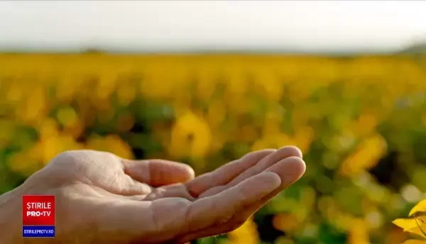 Războiul a făcut din România un pion important pe piața agricolă. Diplomat american: "Climatul perfect pentru investiții"