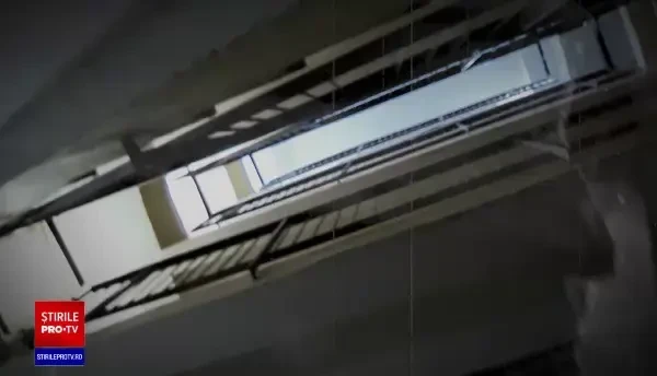 Cazul mamei din Timișoara, care s-a sinucis alături de copii. Fostul ei soț a fost miercuri să recunoască cele trei trupuri