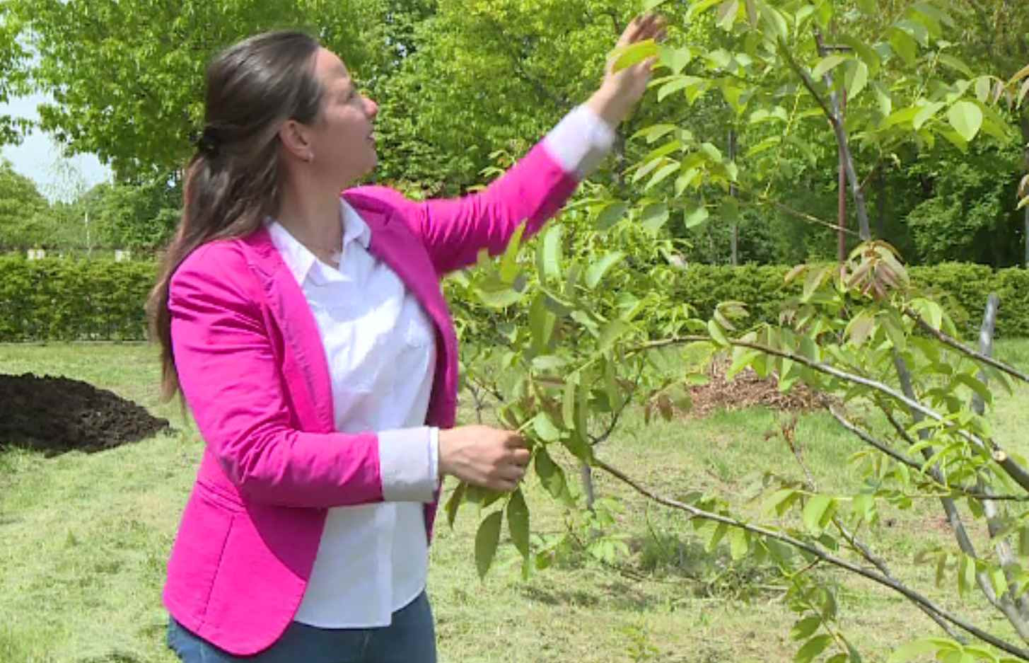 Numărul agricultorilor tineri este în creștere. Tot mai mulți se pregătesc acum în facultățile de profil