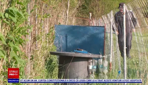 ISU Cluj va avea un nou coleg. Cățelul Aki învață cum să salveze vieți alături de pompieri