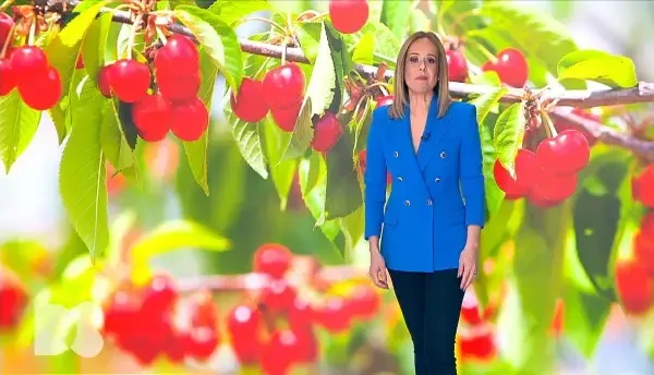 Doctor de bine | De ce este bine să consumăm fructe direct din pom