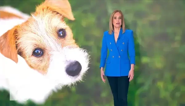 Doctor de bine | Cum ajungem să educăm sistemul imunitar