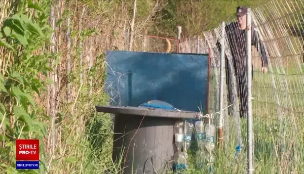 ISU Cluj va avea un nou coleg. Cățelul Aki învață cum să salveze vieți alături de pompieri