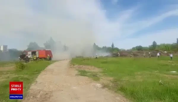 Incendiu de vegetație uscată în Parcul Grozăvești. Locuitorii au primit mesaj RO-ALERT