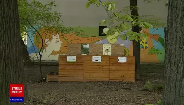 Cum se poate face acasă compostul din resturi, o soluție de hrănire a pământului cu alimente