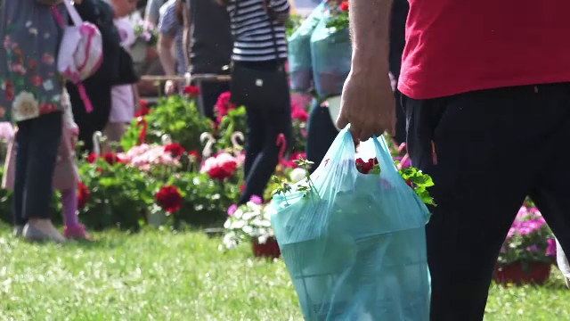 „Parfum de Cluj” a ajuns la a III-a ediție. Sute de specii de flori, admirate de vizitatori